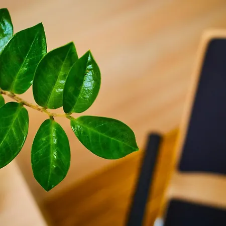 Gaestehaus Im Lwh Hotel *